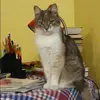 Отзыв от Евгения Моргунова
